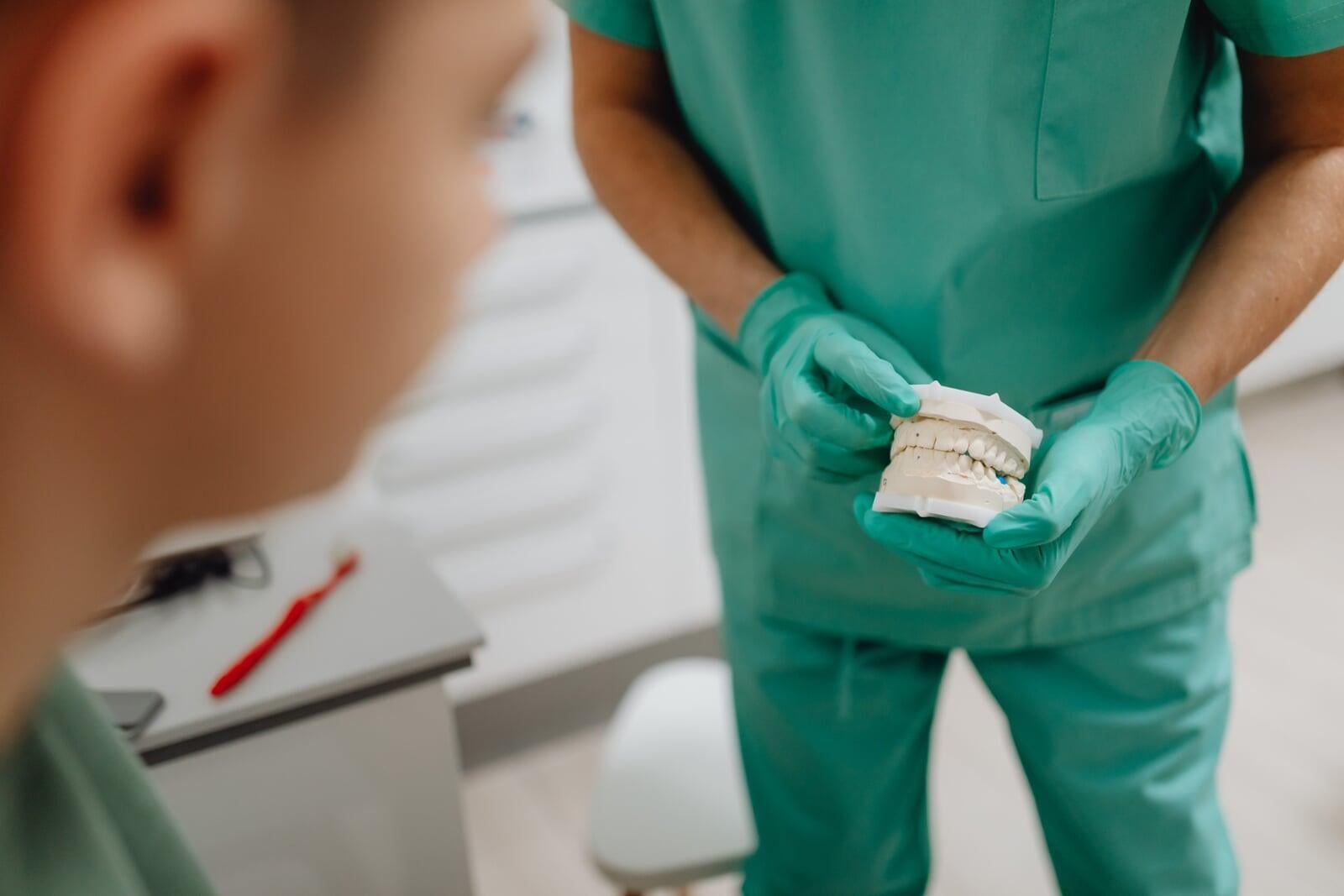 La oclusión en la ortodoncia: Cambios de posición y localización durante el proceso eruptivo dental